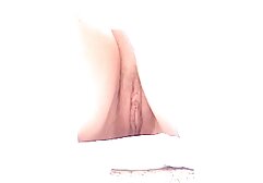 Cherry Poppens chupa una BBC facial xxx amateur hotel